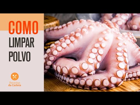 COMO LIMPAR POLVO DE UM JEITO FÁCIL