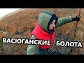 Васюганские болота