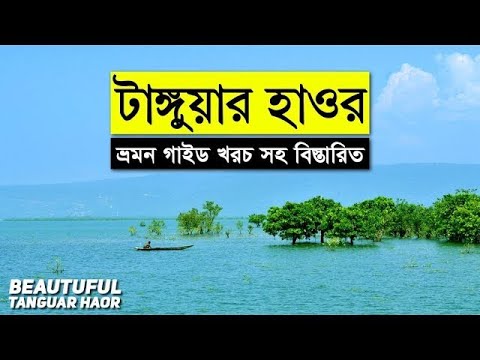 ভিডিও: শ্রেষ্ঠ ভ্যাঙ্কুভার বোট ট্যুর এবং দর্শনীয় ভ্রমণ ক্রুজ