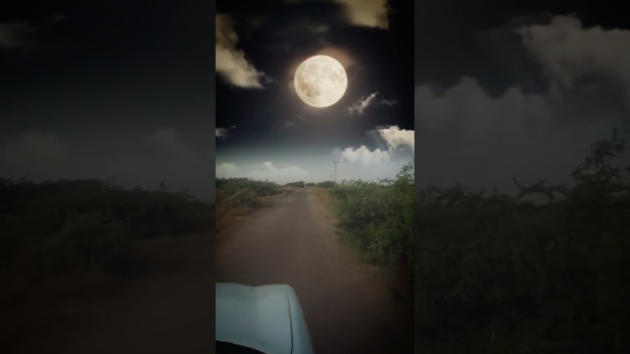 environment !! #shorts #youtubeshorts #moonlight