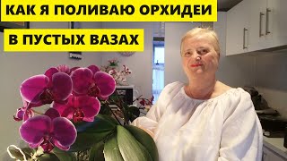 КАК Я ПОЛИВАЮ ОРХИДЕИ В ПУСТЫХ ВАЗАХ