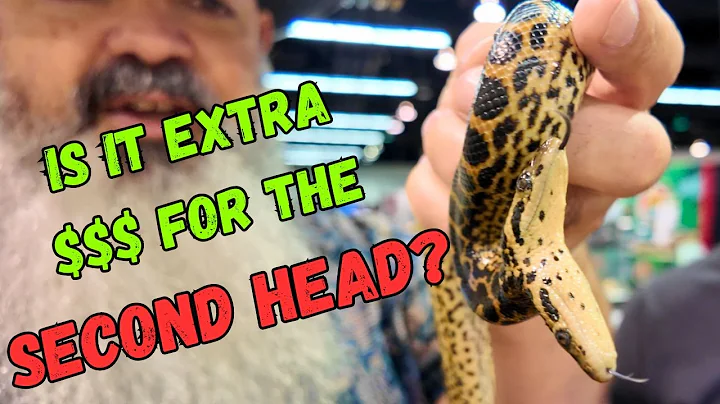 Every Reptile I TRIED to Resist Buying at the 2025 Anaheim Reptile Super Show