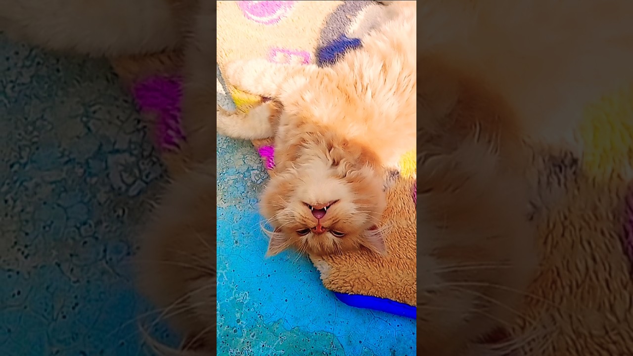 jindagi aapko dukh degi 