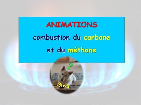 Combustion Du Carbone Et Du Méthane 