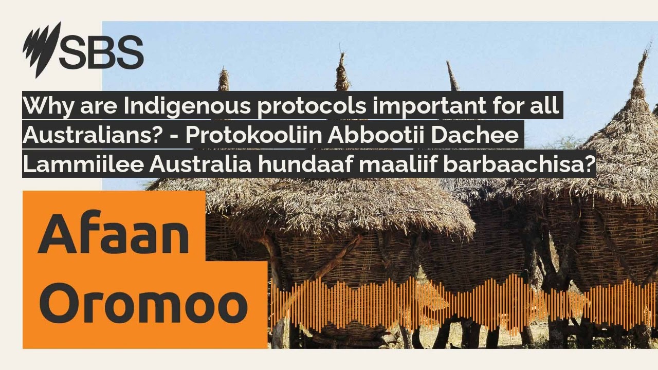 Why are Indigenous protocols important for all Australians? - Protokooliin Abbootii Dachee...