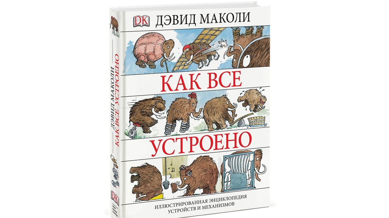 Как все устроено. Как все устроено книга Маколи. «Как всё устроено сегодня», Дэвид Маколи и Нил Ардли. Как все устроено Дэвид Маколи. Дэвид Маколи как все устроено фото.