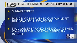 Dog taken to Animal Shelter after attacking owner, health aide
