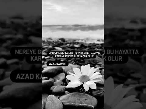 Hayat Sözleri Azad kavri Official En Güzel Anlamlı Kısa Hayat sözleri Hayat Sözleri Hayat Sözleri