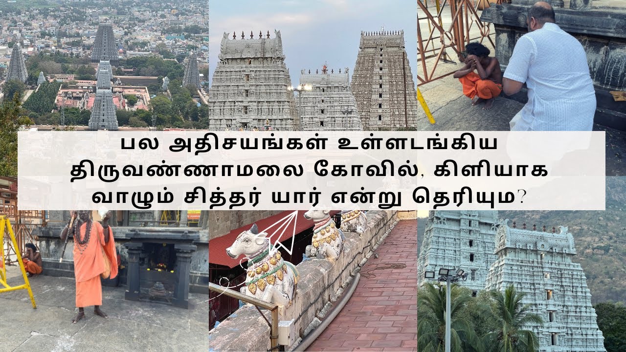 பல அதிசயங்கள் உள்ளடங்கிய திருவண்ணாமலை கோவில், கிளியாக வாழும் சித்தர் யார் என்று தெரியும? Part 1