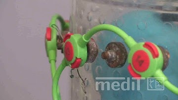 Electrical Impedance Tomography - Breathing Simulator