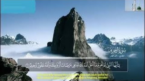#سورة_ التحريم ش/، احمد خضر
