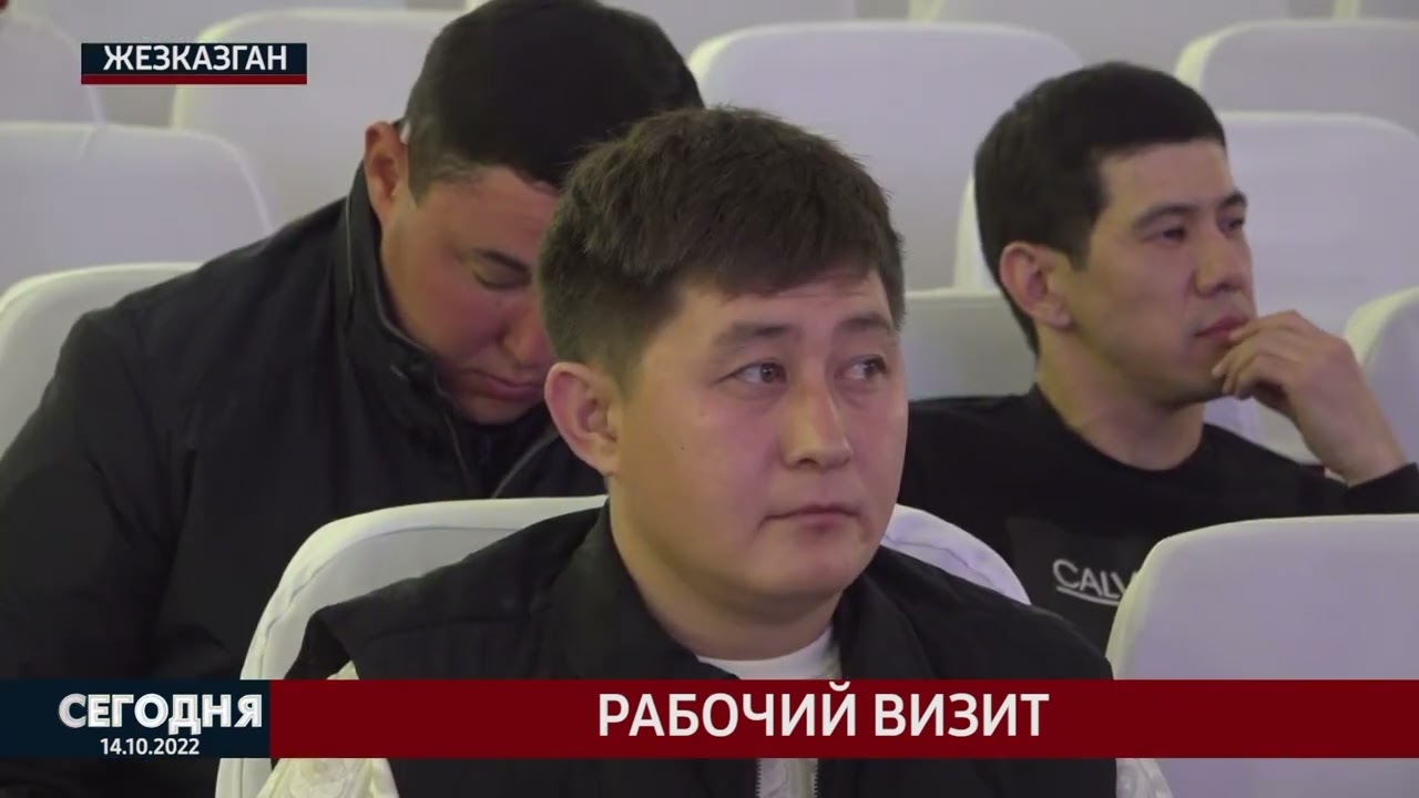 Рабочий визит