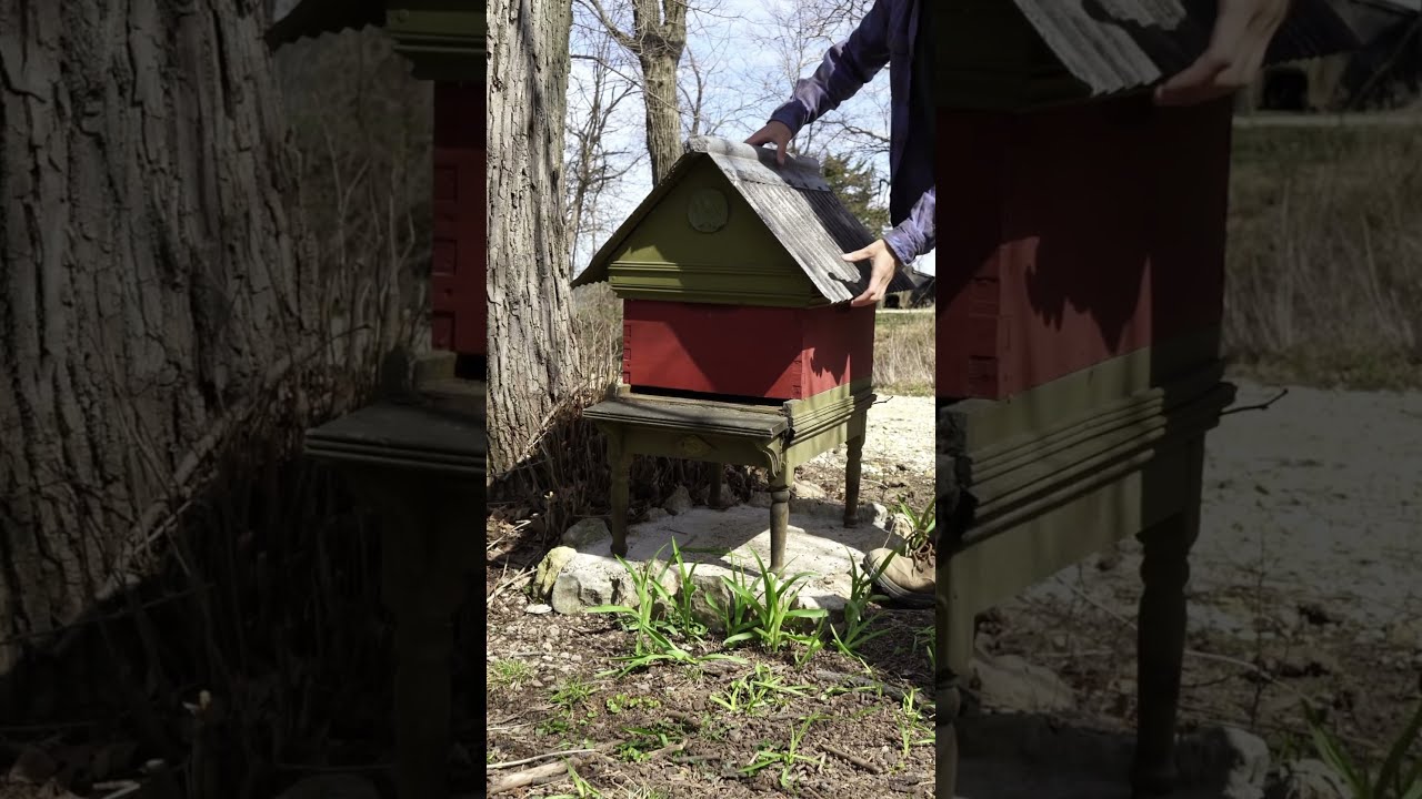 Installing A New Beehive Pt 1 Beekeeping Beekeeper Bees Pollinator Honeybees