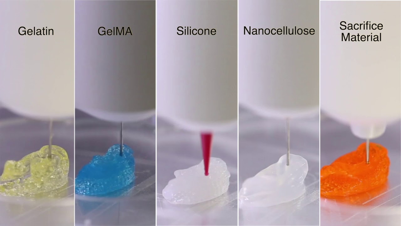Different materials. Bioinks. 3d Bioprinting. Bio Ink Printing.