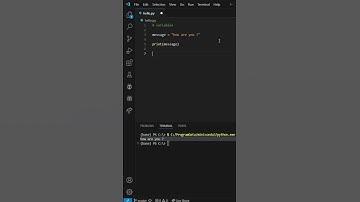 Learn what a variable in Python is - in just a few seconds! ⚡💻 #python #programming