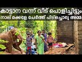 🐘കാട്ടാനകൂട്ടം മൂന്ന് വീടുകൾ തകർത്തു🐘|ഏറുമാടത്തിൽ താമസം|4 കുട്ടികലുമയി ജീവനുംകൊണ്ട്‌ ഓടിയ ഒരു അമ്മ