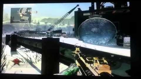 Black ops new glitch in array 2011