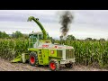 Claas Jaguar 695 Mega + 6 Row Bar | Silage