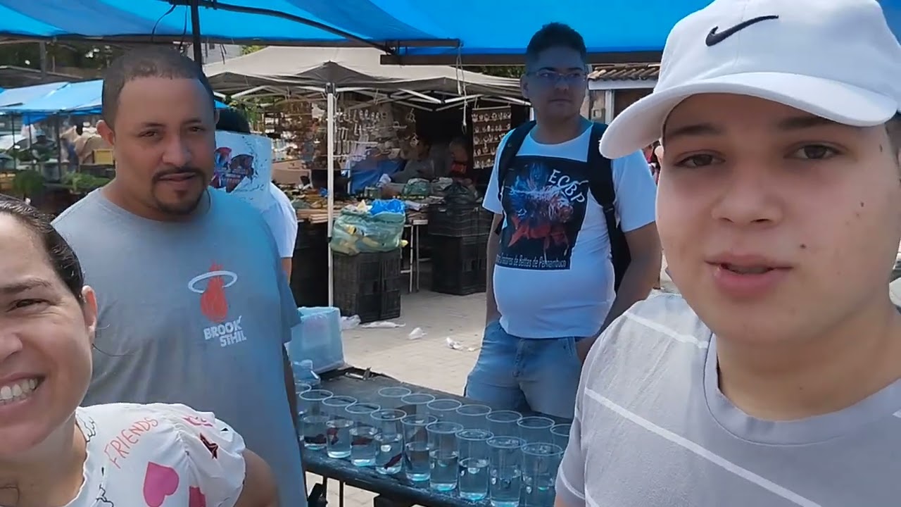 Encontro de Betta no cordeiro.