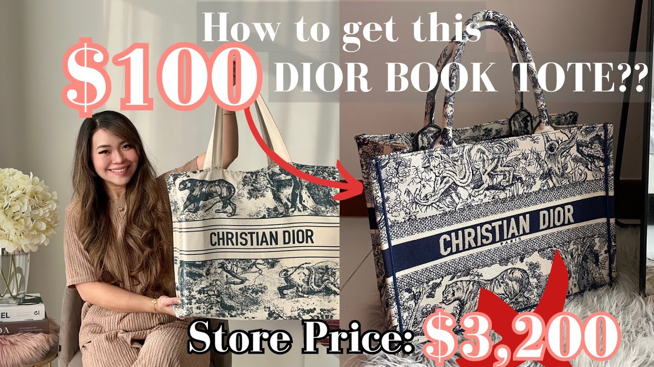 Bag Review: Dior Toile de Jouy Book Tote – The Bag Hag Diaries