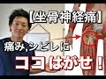 【坐骨神経痛 治し方】なかなか改善しない痛み・シビレ…ここをはがせ！