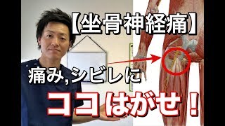 【坐骨神経痛 治し方】なかなか改善しない痛み・シビレ…ここをはがせ！