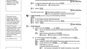 Completing the Custody Section of the Modification Motion