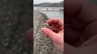 Columbia River Druzy Agate. Oregon Columbia River nature rock beach PNW rockhounding agate