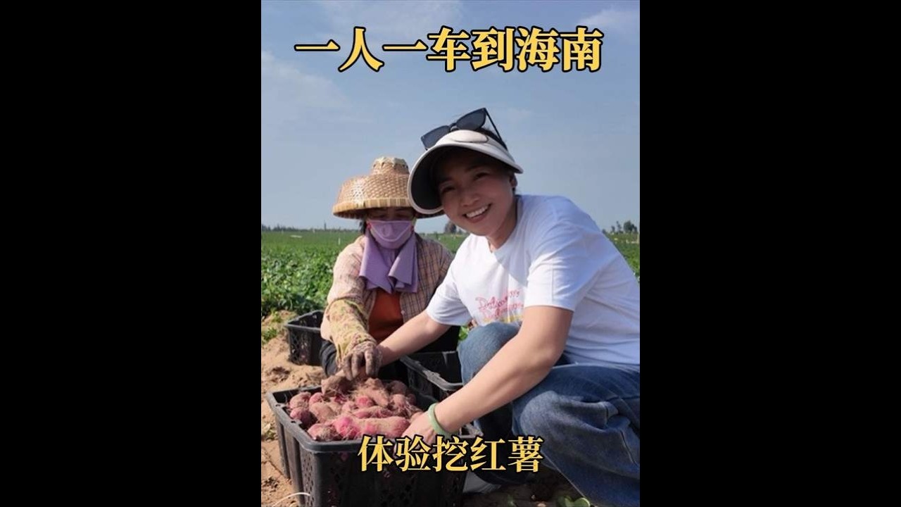 一人一车奔赴海南，踏上海南岛第一天就兴奋，体验当地村民挖红薯 一踏上这片土地就有种“这就是我人生第二故乡”的踏实感。处处