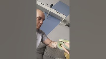 The Unhandleable Green Tree Python