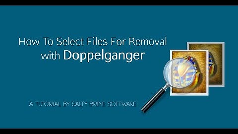 Doppelganger Tutorial 3: How To Select Files For Removal