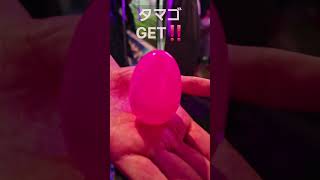【沖縄の祭り‼️🕺】2026/5/3 石川みほそまつり‼️😀#shorts #沖縄 #Teechi #ウルマニアン