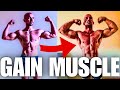 How to build muscle on the carnivore diet