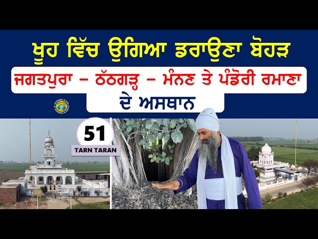 ਖੂਹ ਵਿੱਚ ਉਗਿਆ ਡਰਾਉਣਾ ਬੋਹੜ ~ Jagatpura ~ Thathgarh ~ Manan & Pandori Romana ਦੇ ਅਸਥਾਨ~ Tarn Taran 51