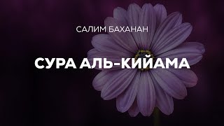 Сура Ал-Кийама Чтец Салим Баханан Успокоение для души