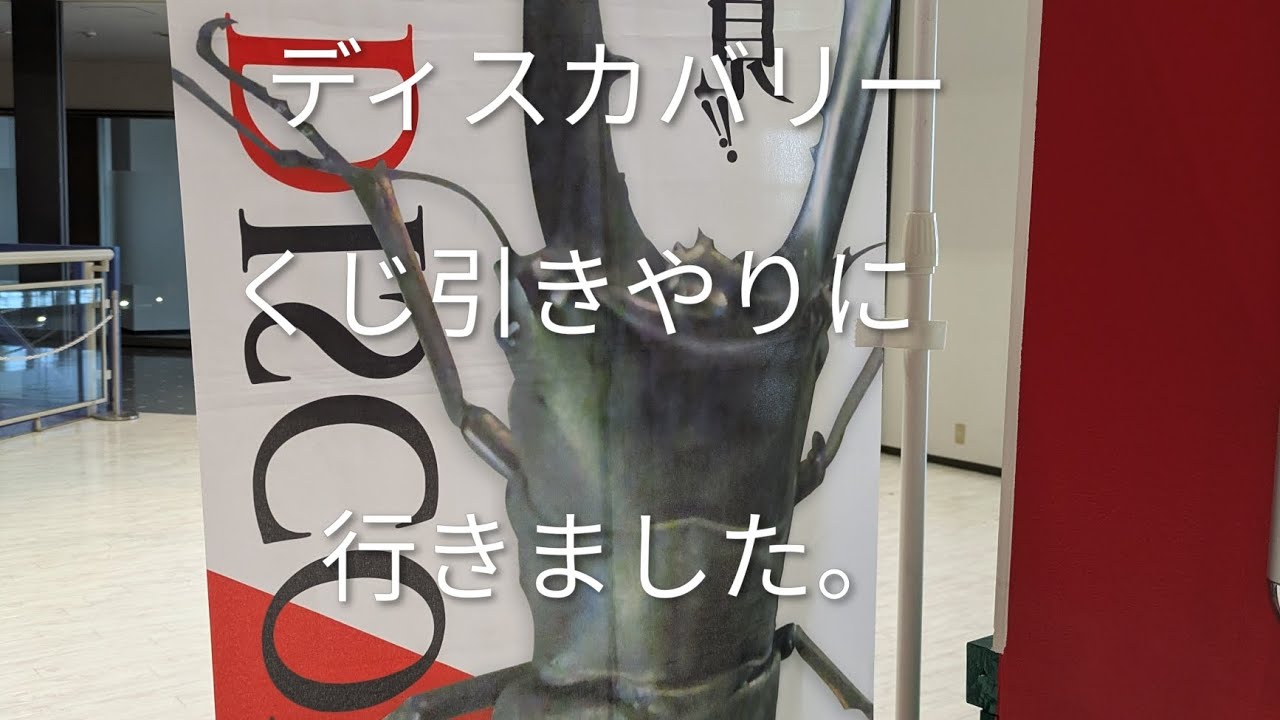 2026/2/22  インセクトディスカバリーにくじ引きやりに行きました。