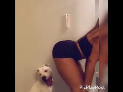 Giselle Lynette twerking