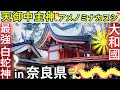 ⚠️解説付き『大神神社だけでは片詣り』アメノミナカヌシ様【 村屋坐彌冨都比賣神社】奈良県 磯城郡 田原本町