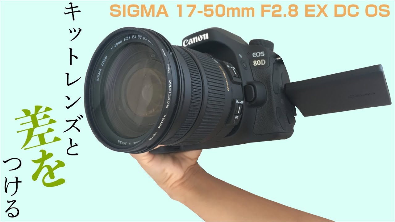 開封レビュー キットレンズとは違うのだよ Sigma 17 50mm F2 8 Ex Dc Os Hsm By 虎豆しば2号 Medium