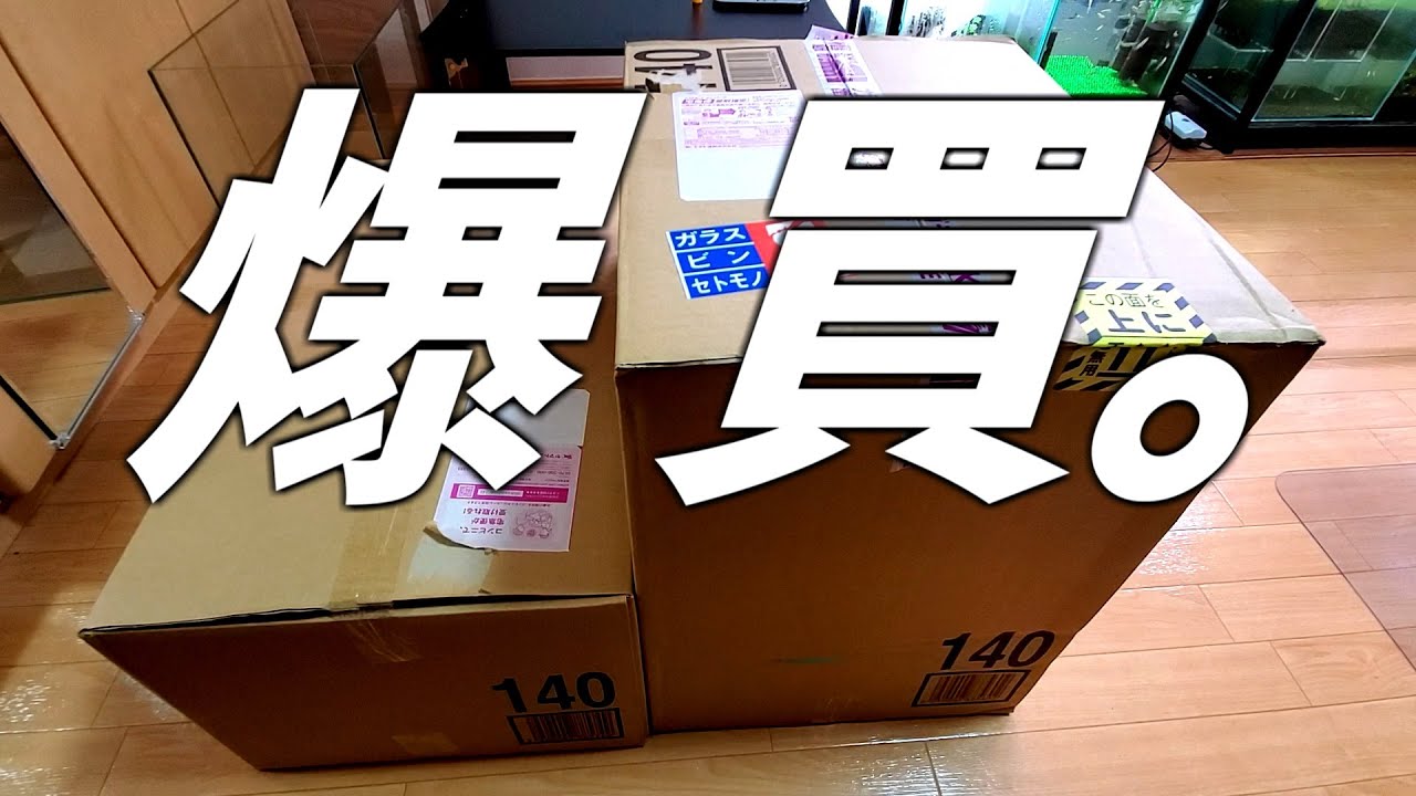 Buying aquarium supplies at Charm! I'll open them all! #100