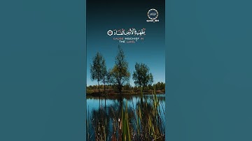 من سورة غافر | From Surat Ghafir   #قرآن #قران_كريم #quran