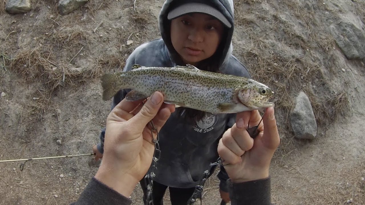 Fishing for Trout in the Eastern Sierras Part 4 June 2017 YouTube
