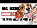 Why Does Your Dog Lick So Much? (The Truth Will Surprise You)