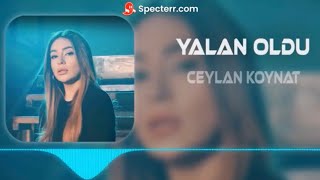 Ceylan Koynat - Yalan Oldu (DJ Metin Production Remix)V2#tiktok2024🔥🎧
