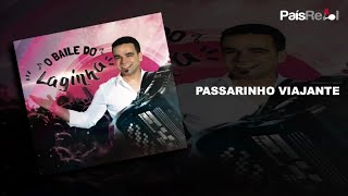 Video thumbnail of "RICARDO LAGINHA - PASSARINHO VIAJANTE"