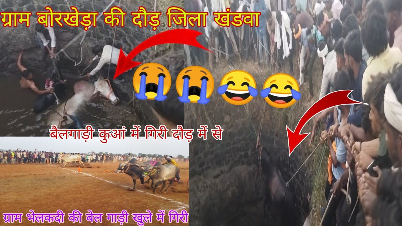😭😂खतरनाक हादसा हुआ बैलगाड़ी खुले में गिर गई दौड़ में गईग् बोरखेड़ा की दौड़ जिला खंडवा