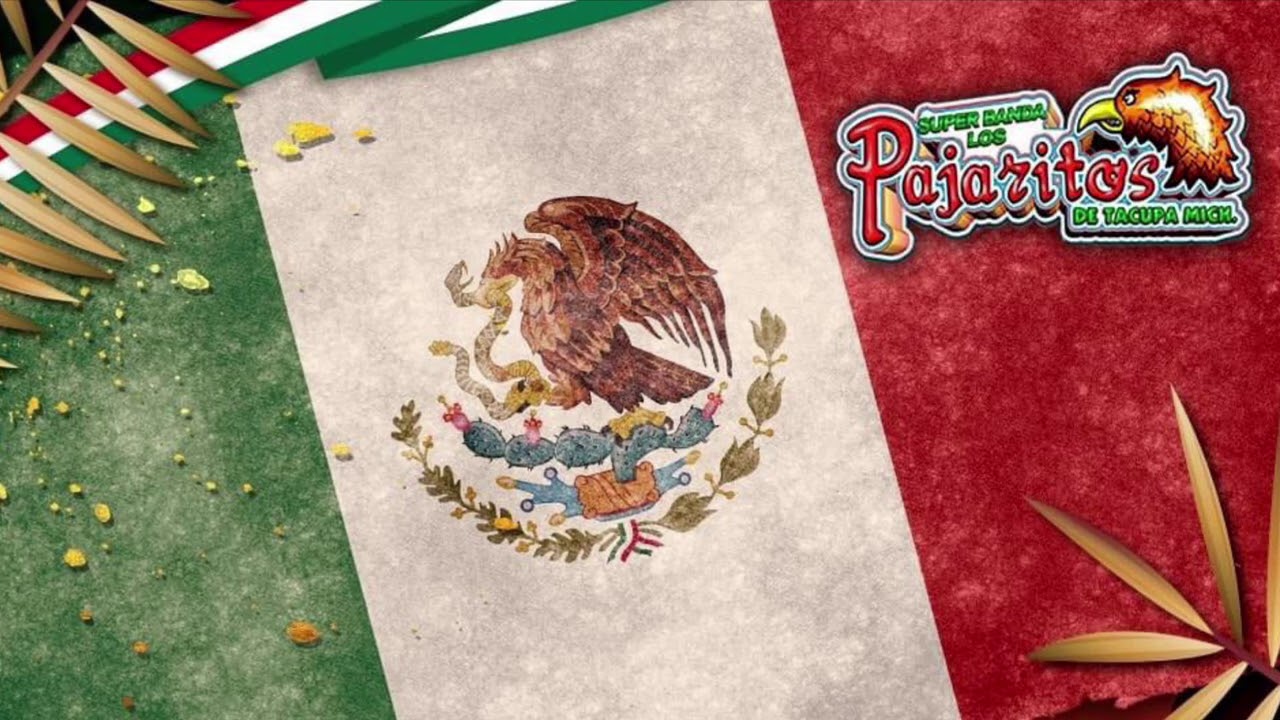 Los Pajaritos de Tacupa - En vivo con la Gallada Grande