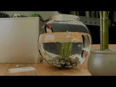 Real Flow 4 Для 3Dmax 9 Real Flow 4 Для 3Dmax 9