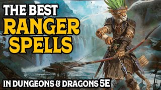 The Best Ranger Spells In D&D 5e