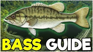 BASS Fishing Guide! - Fishing Planet Tips